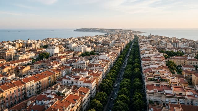 Calle comercial en una ciudad española, el nivel de detalle geográfico de una ficha pública